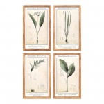 Floral Print (Set Of 4) 11.75"L x 19.5"H Mdf/Wood/Paper/Glass