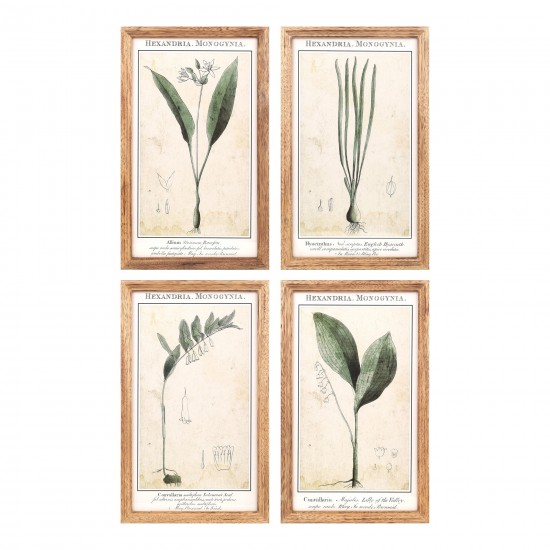 Floral Print (Set Of 4) 11.75"L x 19.5"H Mdf/Wood/Paper/Glass