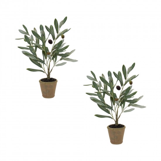 Potted Olive Plant (Set Of 2) 13.5"H Polyester