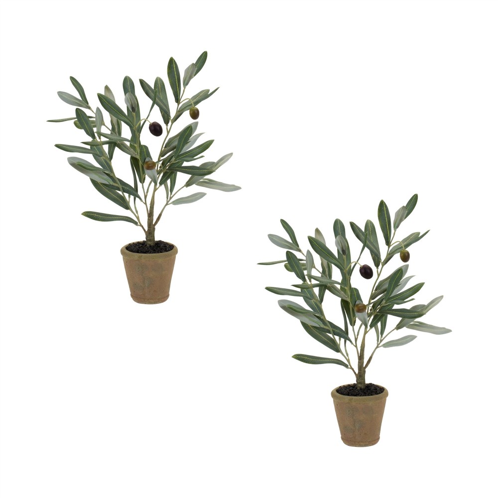 Potted Olive Plant (Set Of 2) 13.5"H Polyester