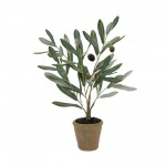 Potted Olive Plant (Set Of 2) 13.5"H Polyester