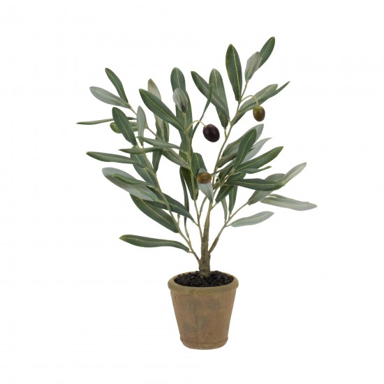 Potted Olive Plant (Set Of 2) 13.5"H Polyester