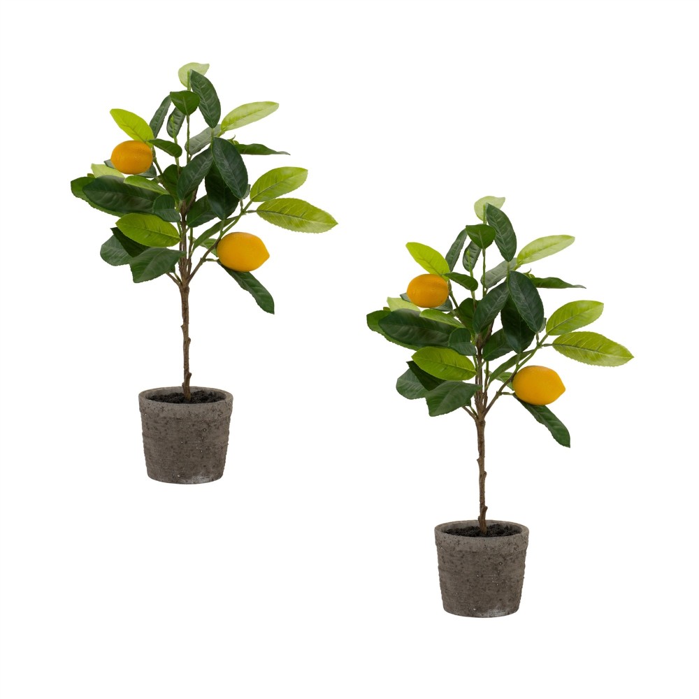 Potted Lemon Tree (Set Of 2) 19.5"H Polyester