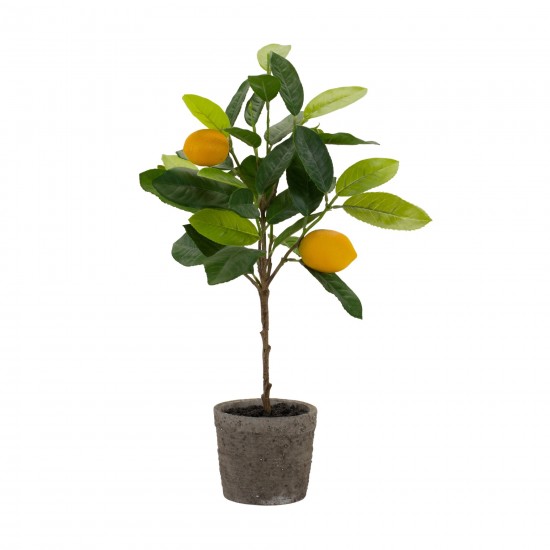 Potted Lemon Tree (Set Of 2) 19.5"H Polyester