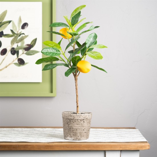 Potted Lemon Tree (Set Of 2) 19.5"H Polyester