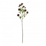 Allium Spray (Set Of 6) 26"H Plastic/Polyester, Brown, Green