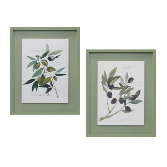 Framed Olive Print (Set Of 2) 15.75"L x 19.75"H Mdf/Wood