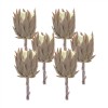 Protea Stem (Set Of 6) 20"H Plastic, Brown