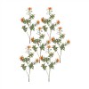 Protea Stem (Set Of 6) 34.25"H Plastic/Flocking, Orange, Green