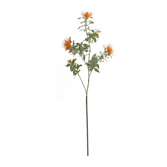 Protea Stem (Set Of 6) 34.25"H Plastic/Flocking, Orange, Green
