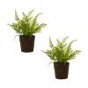 Potted Fern Bush (Set Of 2) 15"H Plastic