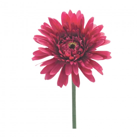 Gerbera Daisy Stem (Set Of 6) 22"H Polyester