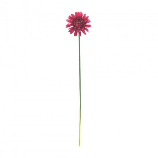 Gerbera Daisy Stem (Set Of 6) 22"H Polyester