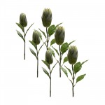 Protea Stem (Set Of 6) 20"H, 26.5"H Polyester