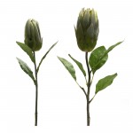 Protea Stem (Set Of 6) 20"H, 26.5"H Polyester