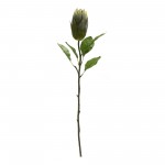 Protea Stem (Set Of 6) 20"H, 26.5"H Polyester