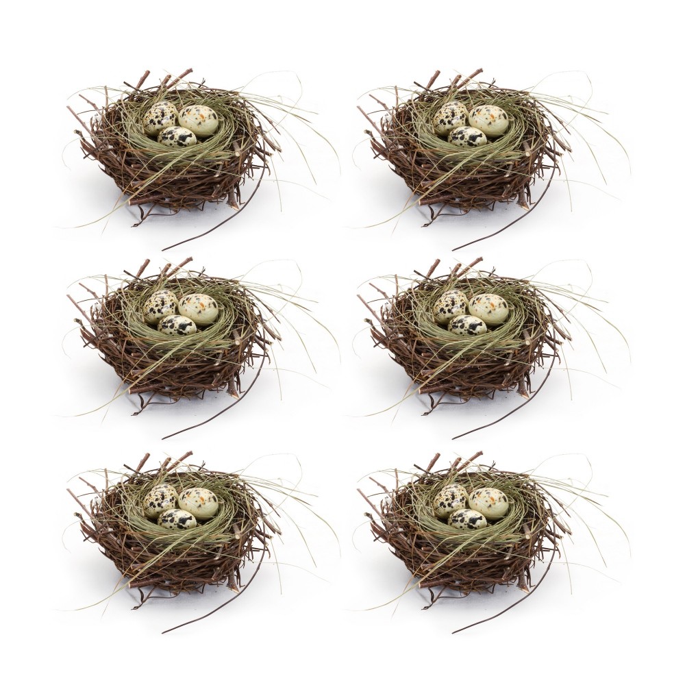 Nest With Eggs (Set Of 6) 6"D x 2.5"H Natural/Foam