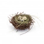 Nest With Eggs (Set Of 6) 6"D x 2.5"H Natural/Foam