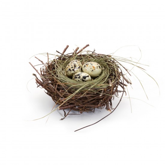 Nest With Eggs (Set Of 6) 6"D x 2.5"H Natural/Foam