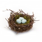 Nest With Eggs (Set Of 6) 6.5"D x 3"H Natural/Foam