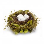 Nest And Nest With Eggs (Set Of 4) 7"D x 3.5"H Natural/Foam