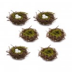 Nest And Nest With Eggs (Set Of 6) 6.5"D x 3"H Natural/Foam