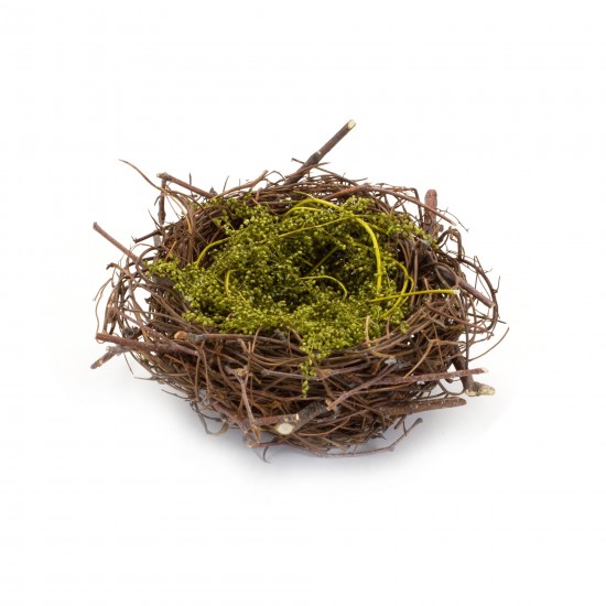 Nest And Nest With Eggs (Set Of 6) 6.5"D x 3"H Natural/Foam