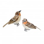 Bird (Set Of 12) 3"H, 3.5"H Foam/Feather, Brown, White, Orange