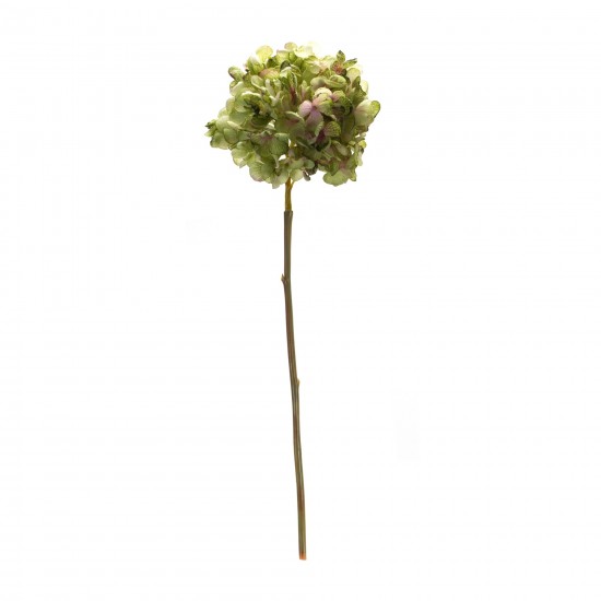 Hydrangea Stem (Set Of 6) 23"H Polyester, Green