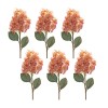 Cone Hydrangea Stem (Set Of 6), Pink, Green