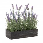 Potted Lavender (Set Of 2) 13.25"L x 14.75"H Plastic