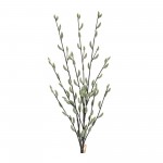 Willow Bundle (Set Of 6) 29.75"H Plastic