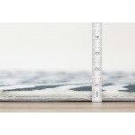 Akina AK1 Flannel 8' x 10' Rug