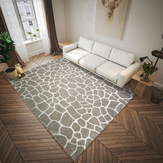 Akina AK4 Stone 1'8" x 2'6" Rug