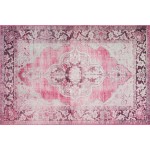 Amanti AM1 Blush 1'8" x 2'6" Rug