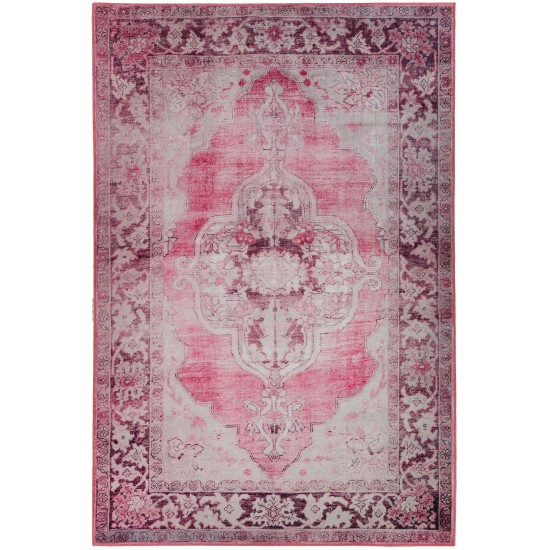 Amanti AM1 Blush 3'3" x 5'3" Rug