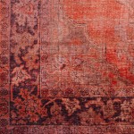 Amanti AM1 Ginger 7'10" x 9'10" Rug