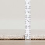 Arcata AC1 Ivory 6' x 9' Rug