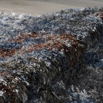Arturro AT5 Multi 7'10" x 10'7" Rug