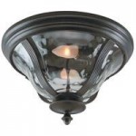 Frances 2 Light Flushmount in Oiled Bronze with Clear Hammered Glass