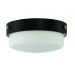 12" 2 Light Flushmount, X3212-FB