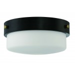 13.75" 2 Light Flushmount, X3214-FB