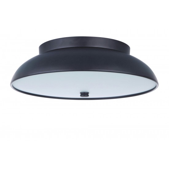 12.5" LED Flushmount, X6813-FB-LED