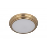 X66 flushmounts Flushmount 1 LED Light Satin Brass, X6609-SB-LED