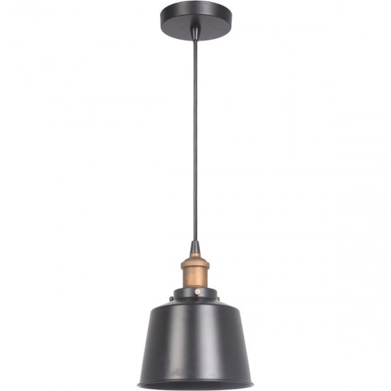 1 Light Mini Pendant in Matte Black and Patina Aged Brass