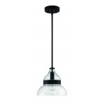 1 Light Mini Pendant, P960FB1