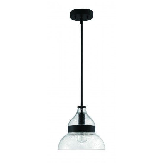 1 Light Mini Pendant, P960FB1