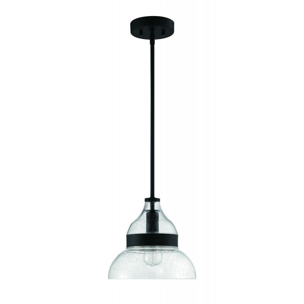 1 Light Mini Pendant, P960FB1