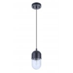 1 Light Mini Pendant, 55091-FB