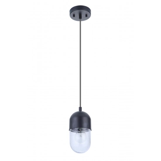 1 Light Mini Pendant, 55091-FB